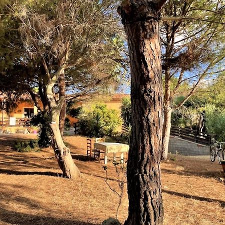Villa Il Lentischio Del Sinis Putzu Idu Exterior foto