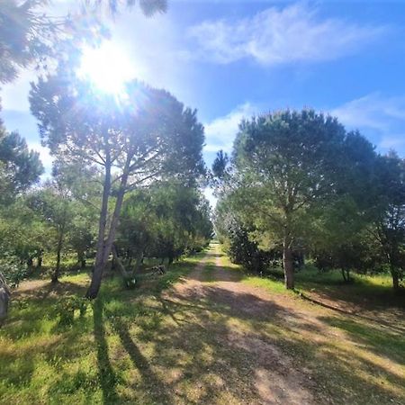Villa Il Lentischio Del Sinis Putzu Idu Exterior foto
