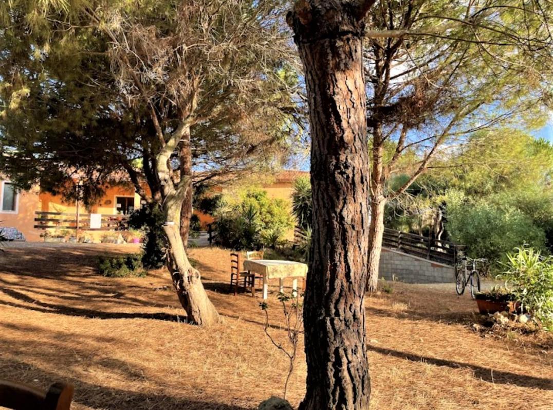 Villa Il Lentischio Del Sinis Putzu Idu Exterior foto